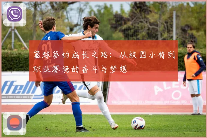 篮球葵的成长之路：从校园小将到职业赛场的奋斗与梦想