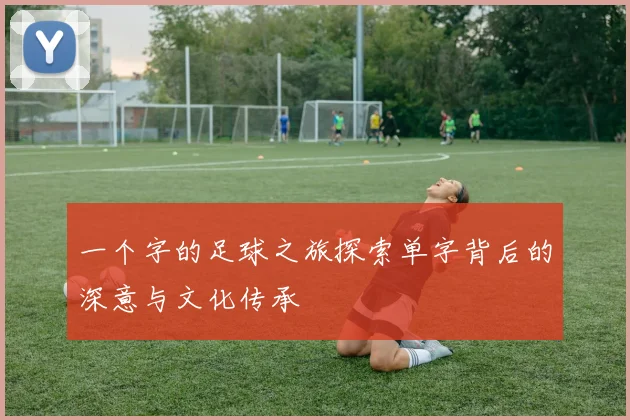 一个字的足球之旅探索单字背后的深意与文化传承