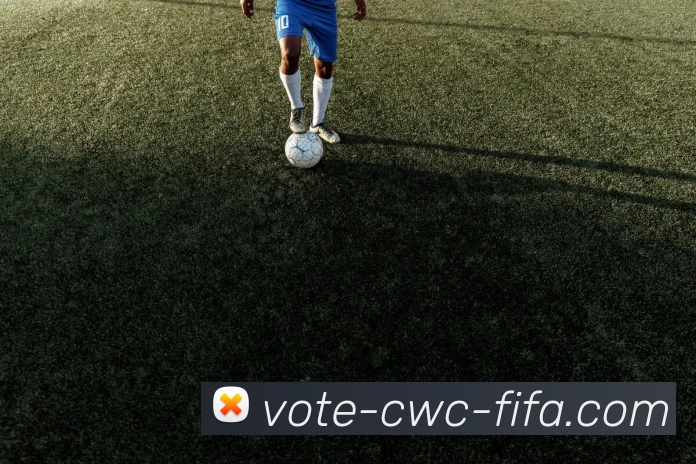 线上买球服务体系